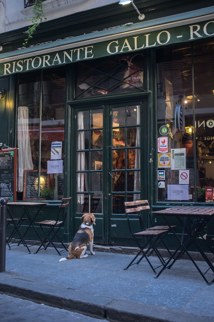 Vente Commerce 125&nbsp;m² Orléans